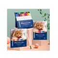 Andstal 36/38/73 colors Oil Soft Colored Pencils Cute cat Stationery Color Pencils For Kids Drawing supplies